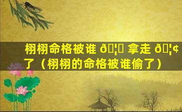 栩栩命格被谁 🦅 拿走 🦢 了（栩栩的命格被谁偷了）